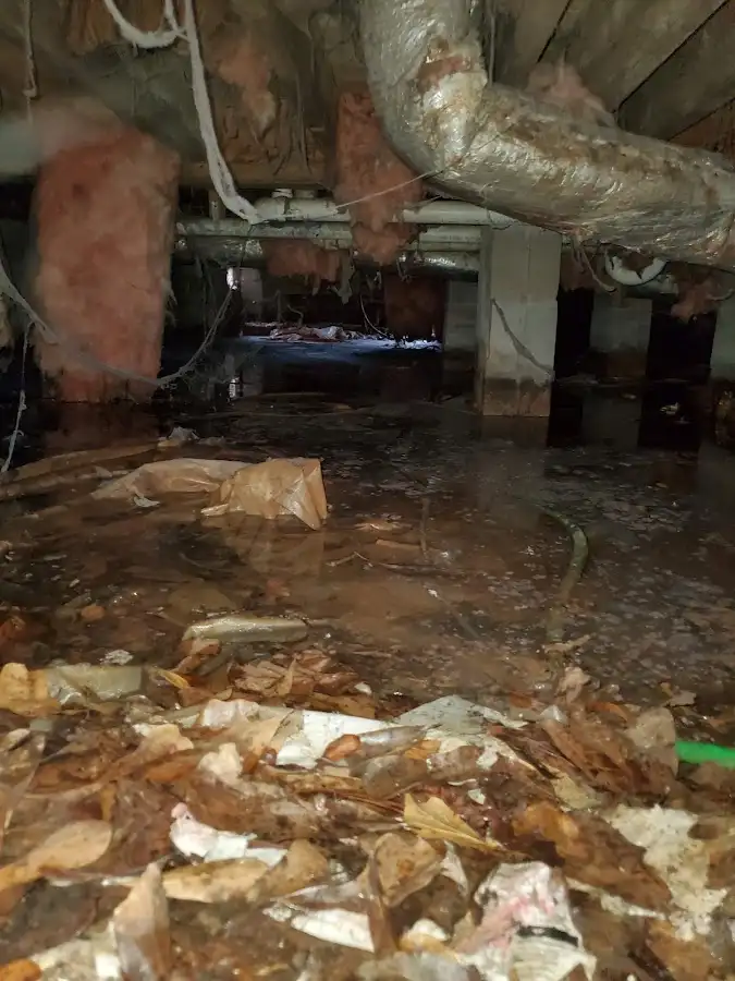 Crawl space flood assessment for Leak Detection & Repair in Pittsboro